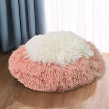 Indoor Dog Bed for Cats (50×50×13 Cm / Big)